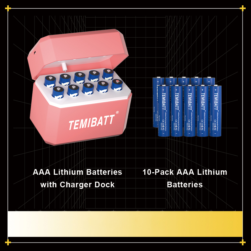 10 AAA lithium batteries - intelligent flip charging compartment